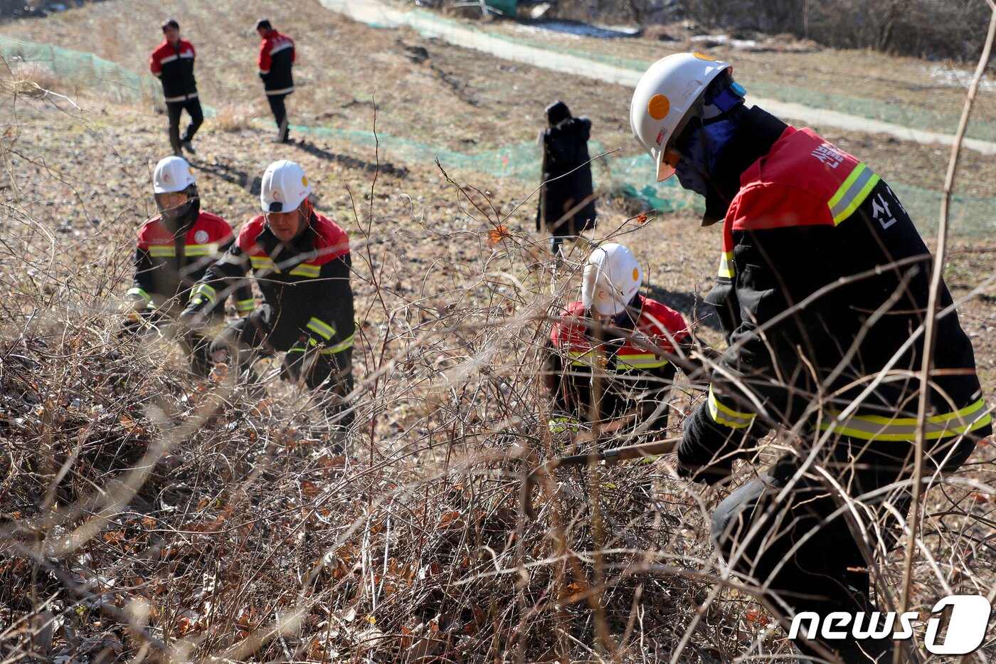 본문 이미지 - 산불재난특수진화대원들이 강원도 원주시 판부면 백운산 일대에서 겨울철 산불이 번지는 것을 차단하기 위해 마른 풀을 베고있다. (자료사진)/뉴스1 DB