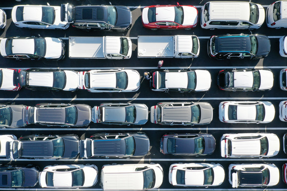 車 보험사기 피해자 2289명 13.6억 환급…장기 미환급 서금원서 관리