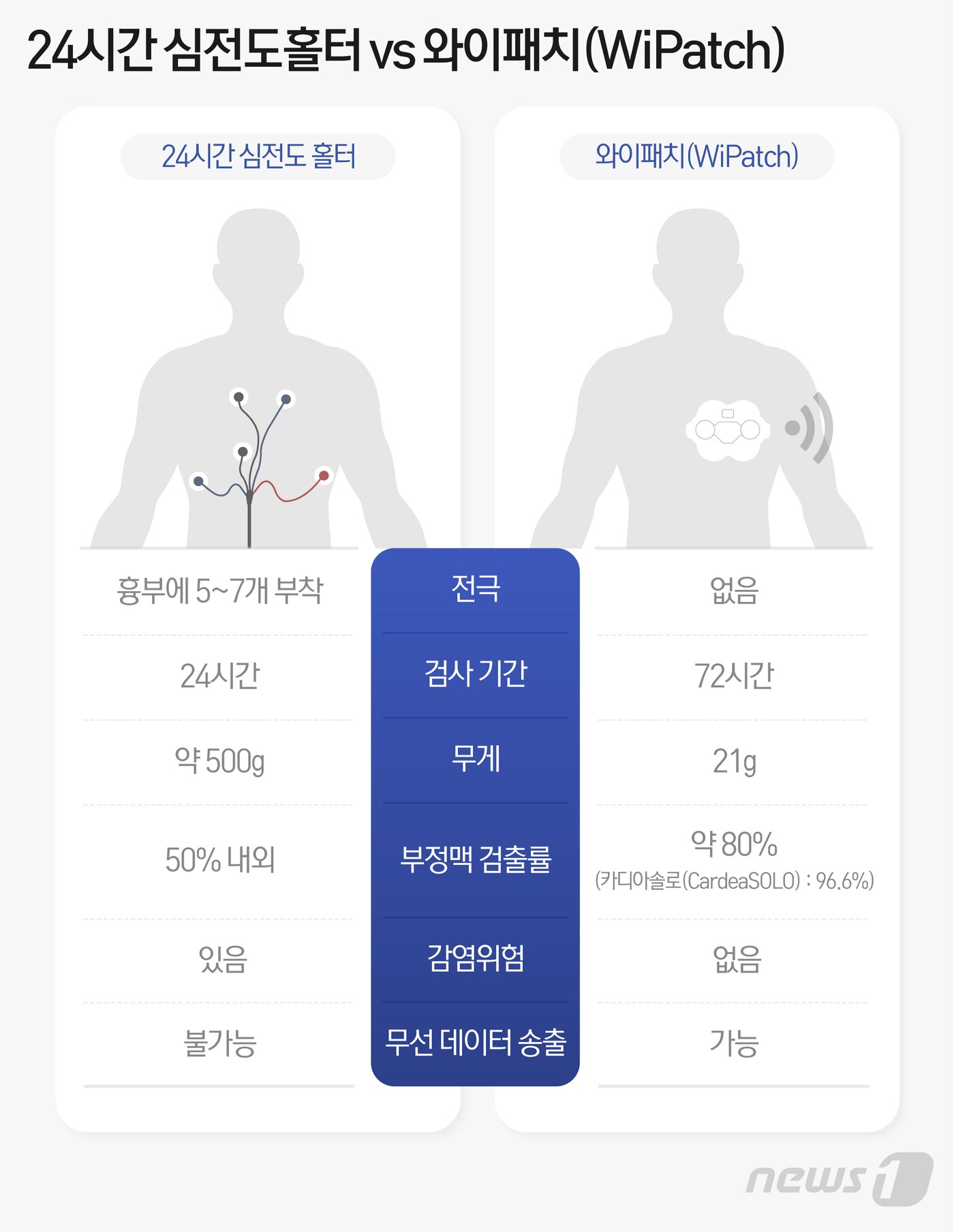 본문 이미지 - ⓒ News1 최수아 디자이너
