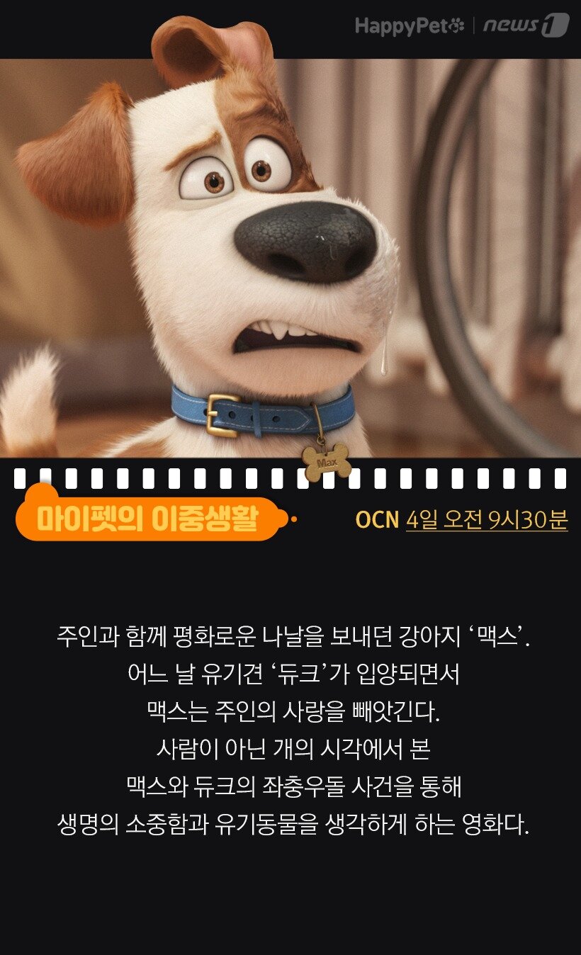 본문 이미지 - 마이펫의 이중생활(OCN)