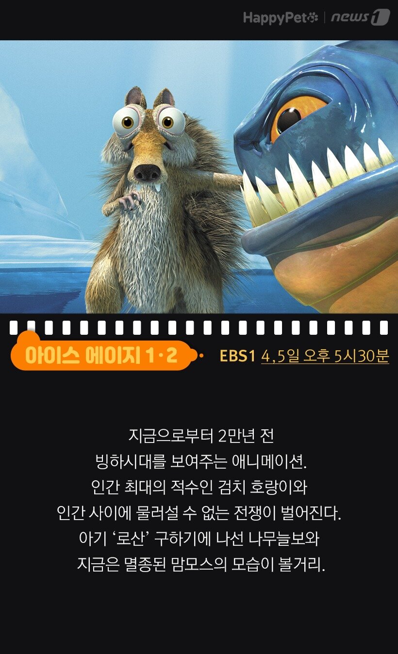 본문 이미지 - 아이스 에이지(EBS1)