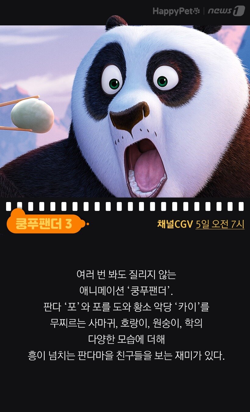 본문 이미지 - 쿵푸팬더3(채널CGV)