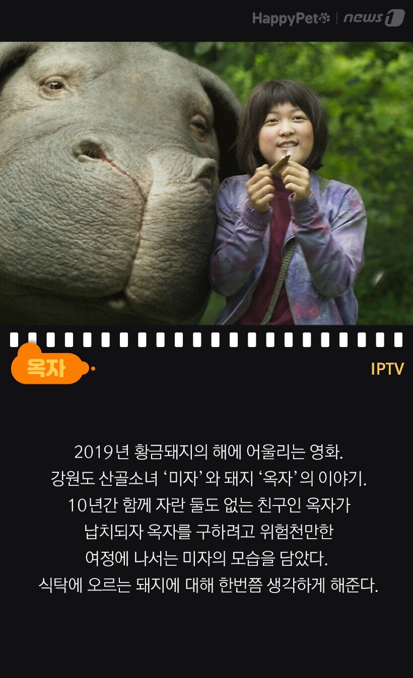 본문 이미지 - 옥자(IPTV)