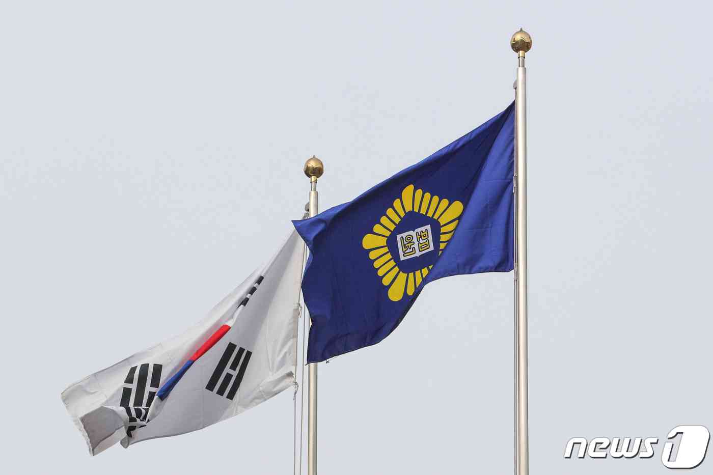 법원 깃발. /뉴스1 © News1 성동훈 기자