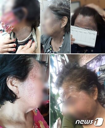 본문 이미지 - ⓒ 뉴스1