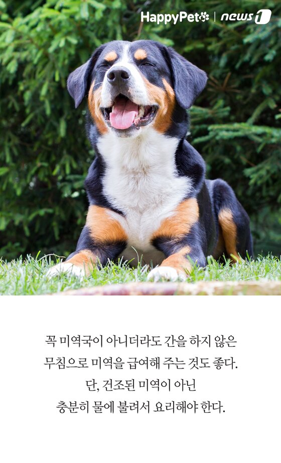 본문 이미지 -  참고자료 내추럴발란스 제공