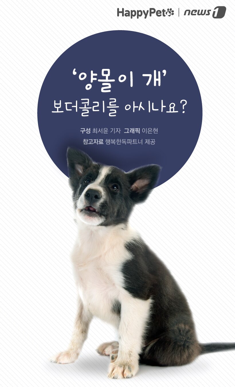 본문 이미지 - ⓒ News1