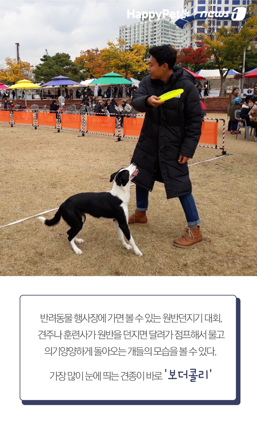 본문 이미지 - ⓒ News1