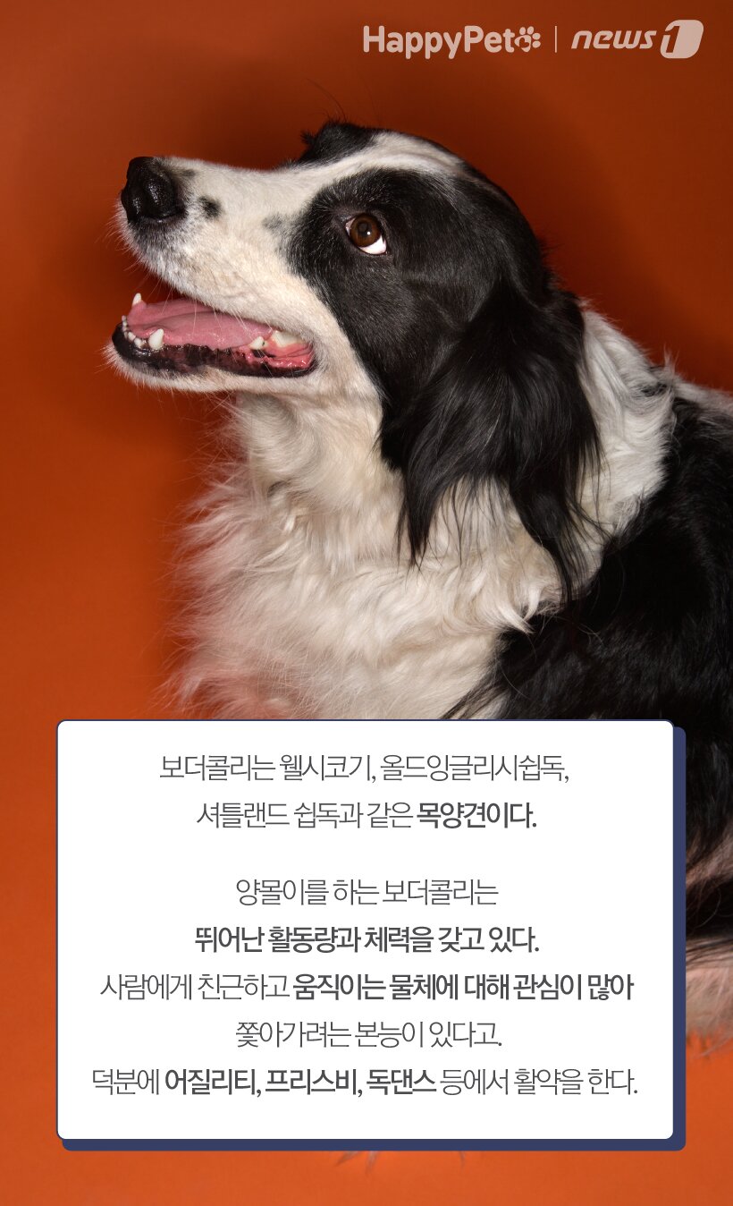 본문 이미지 - ⓒ News1