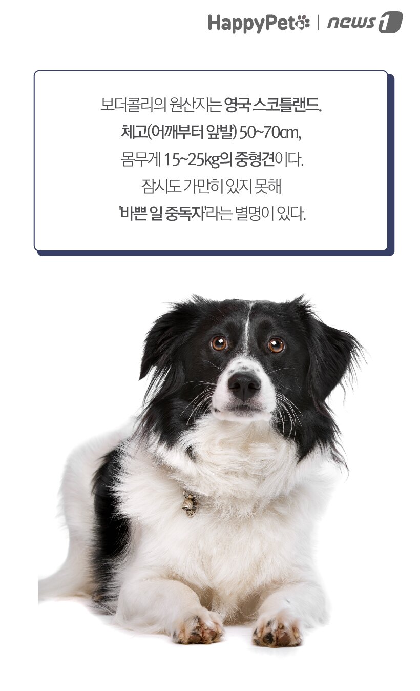 본문 이미지 - ⓒ News1