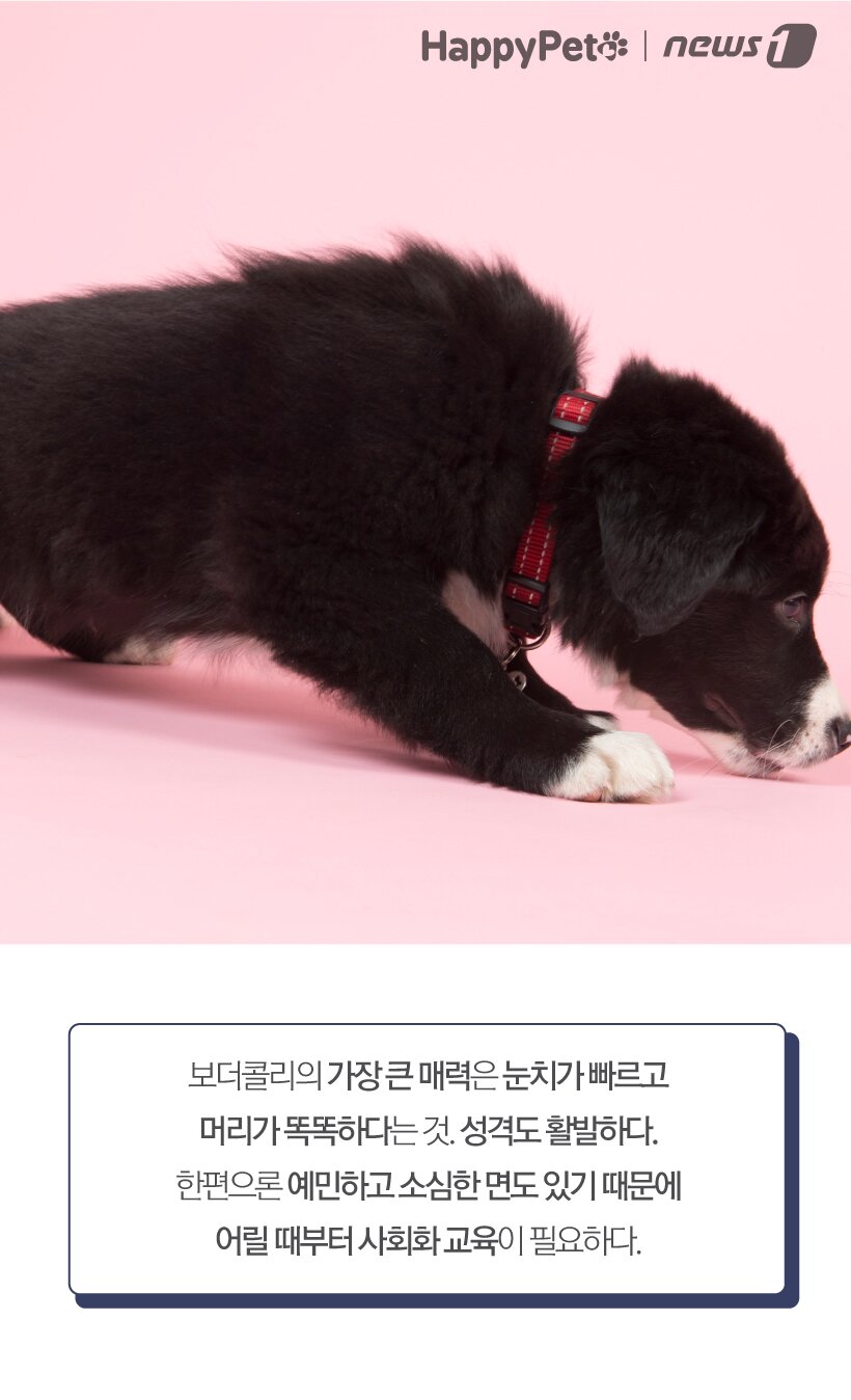 본문 이미지 - ⓒ News1