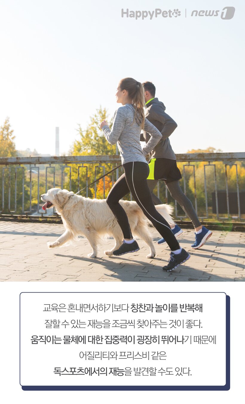 본문 이미지 - ⓒ News1