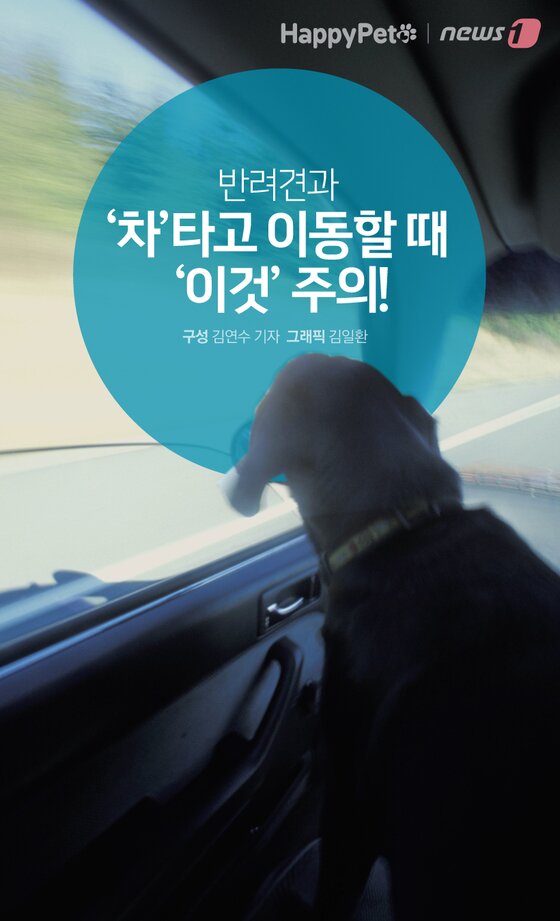 본문 이미지 -  