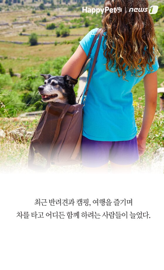 본문 이미지 -  