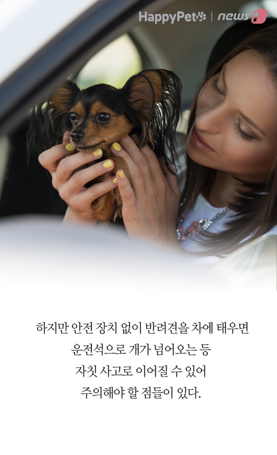 본문 이미지 -  