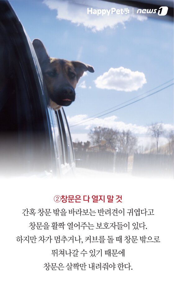 본문 이미지 -  