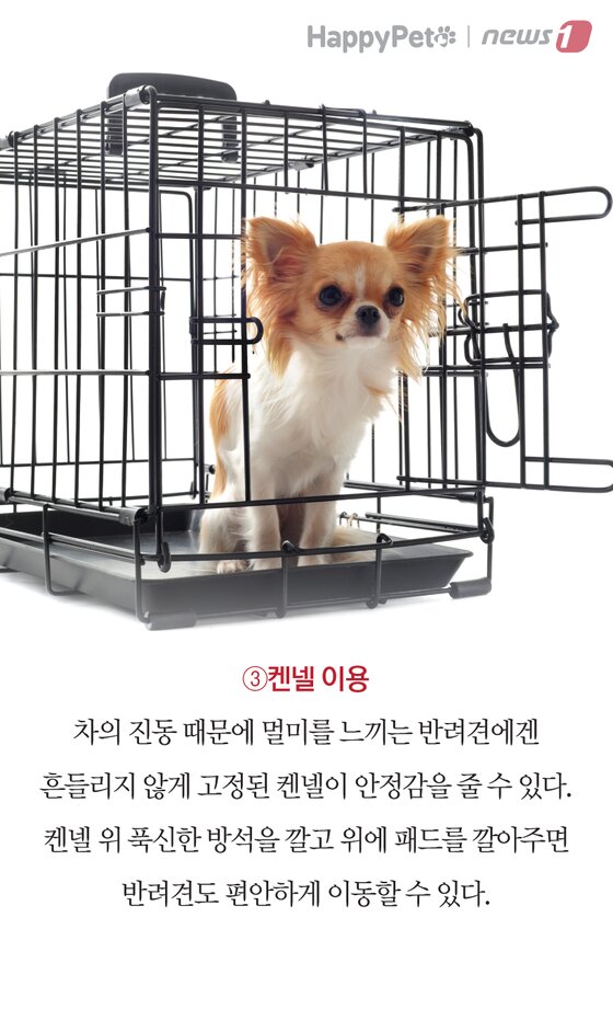 본문 이미지 -  