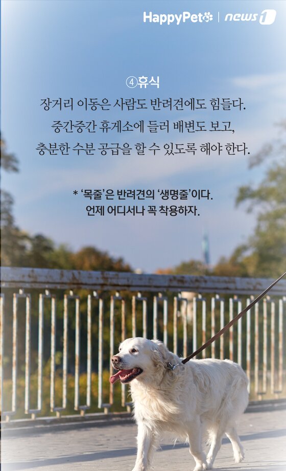 본문 이미지 -  