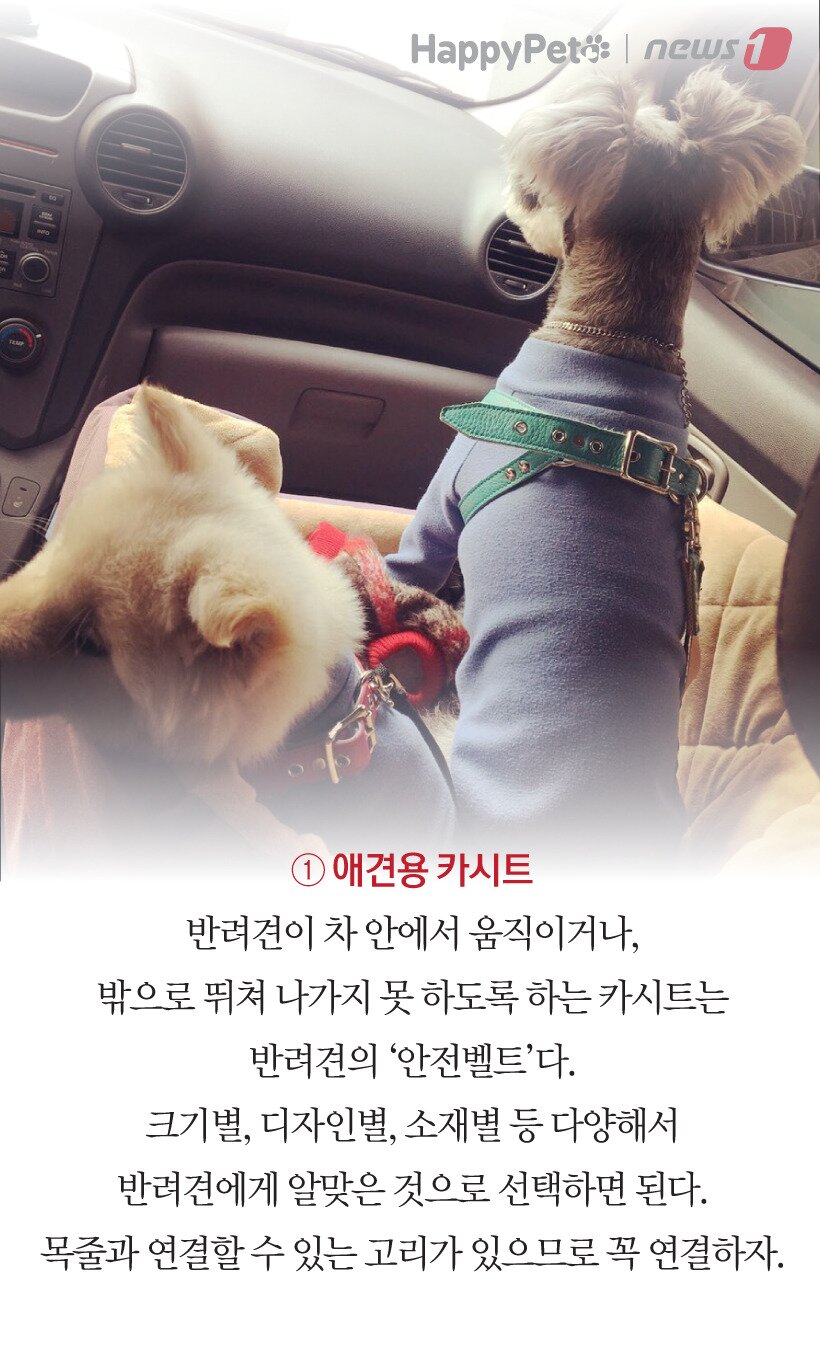 본문 이미지 -  