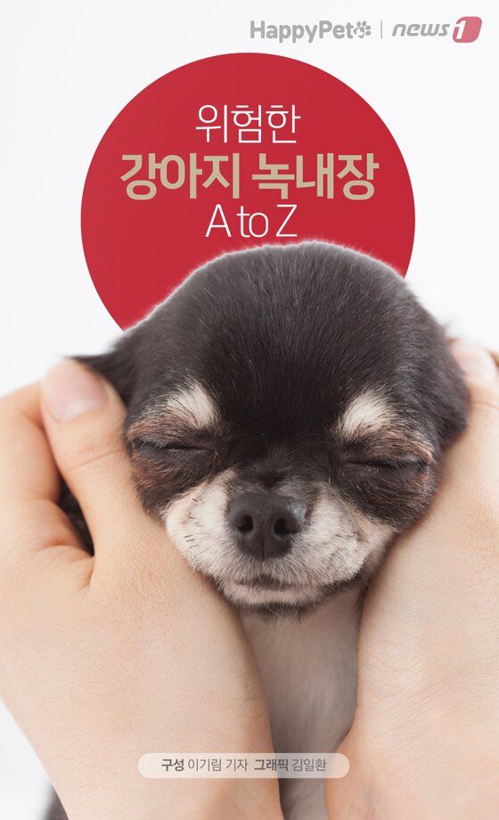 본문 이미지 -  