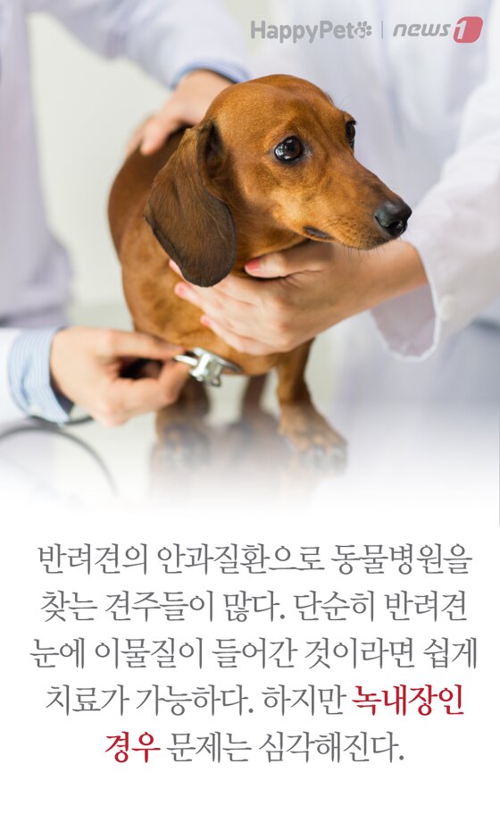 본문 이미지 -  