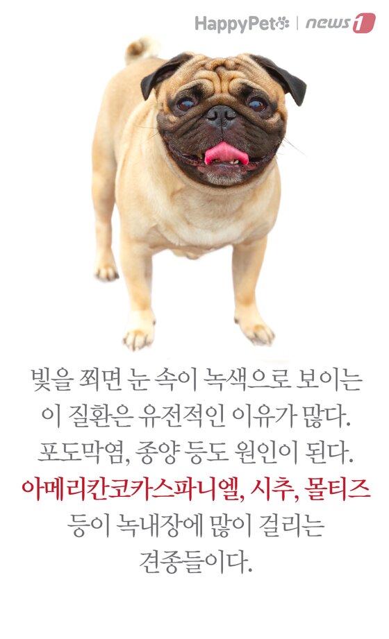 본문 이미지 -  