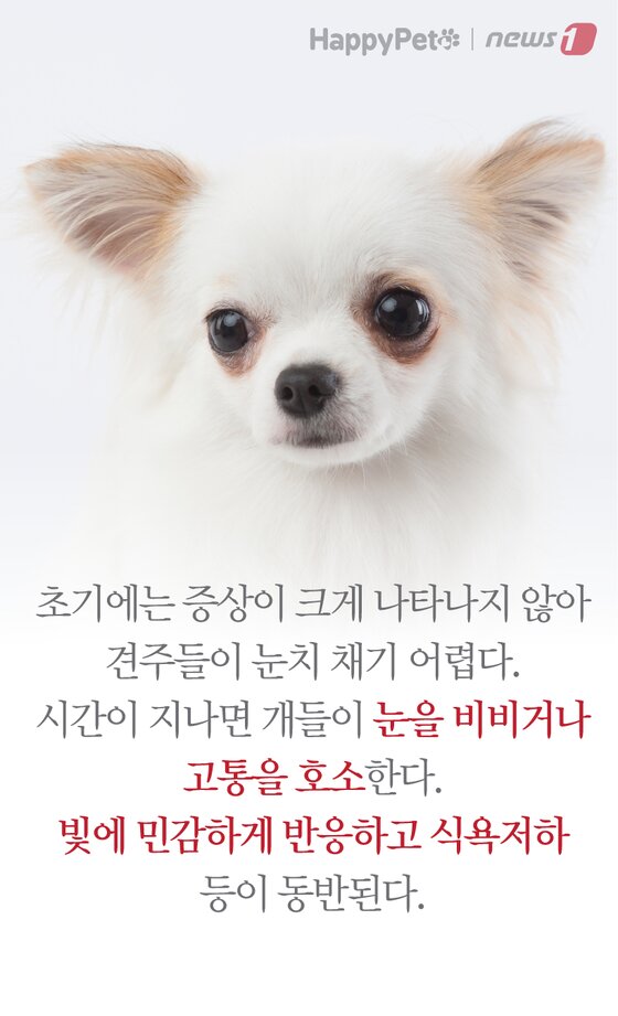 본문 이미지 -  