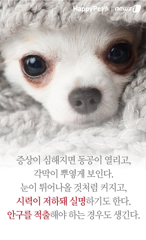 본문 이미지 -  