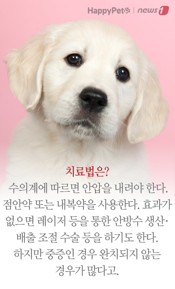 본문 이미지 -  