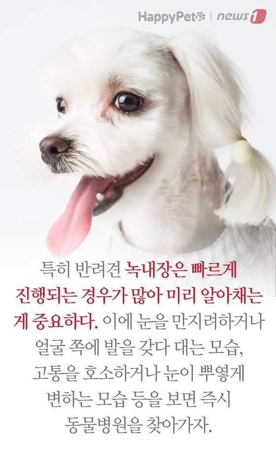 본문 이미지 -  