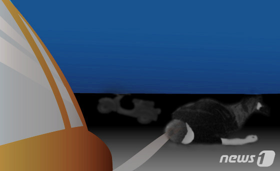 한밤 보행자 치어 숨지게 한 60대 남성 1·2심 무죄, 왜?