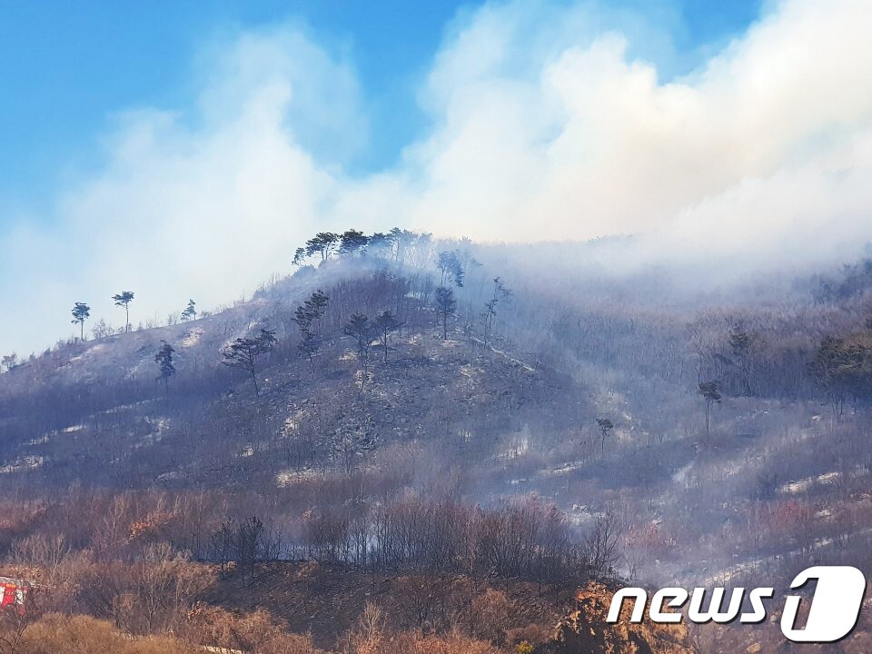 본문 이미지 - 13일 오후 1시 58분쯤 강화군 해병대 진강산 사격장에서 화재가 발생했다. 불은 강한 바람을 타고 길상면의 인근 야산으로 확산 중이다. &#40;강화소방서 제공&#41;2019.3.13/뉴스1 ⓒ News1 정진욱 기자