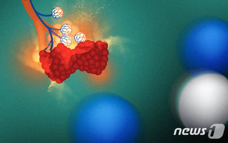 본문 이미지 - ⓒ News1 DB
