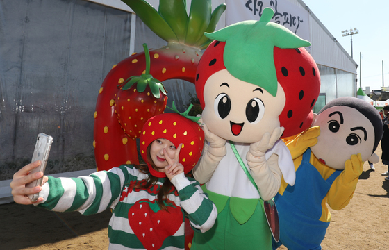 "축제 보러 지방 간다"…문체부, K-축제 27곳에 2년간 집중 지원