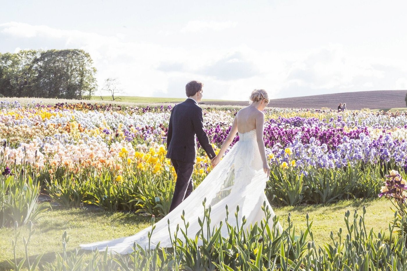 본문 이미지 - 뷰이유렁 성은 아이리스 정원으로 유명하다