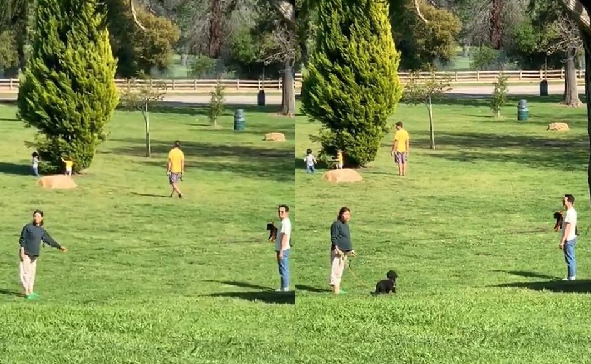 본문 이미지 - 네티즌 인스타그램 영상 캡처 ⓒ 뉴스1