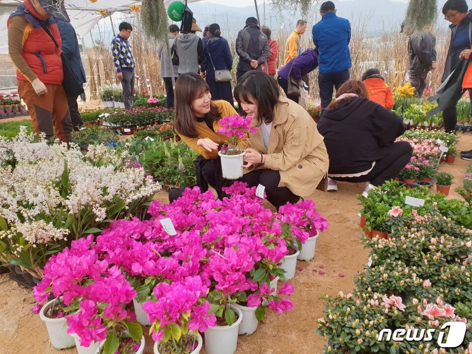 본문 이미지 - 28일 국내 최대 묘목 주산지인 충북 옥천군 이원면 옥천묘목공원에서 개막한 ‘제20회 옥천묘목축제’가 첫날부터 성황인 가운데 축제 방문객이 화분을 고르고 있다.(옥천군 제공).2019.03.28.ⓒ 뉴스1