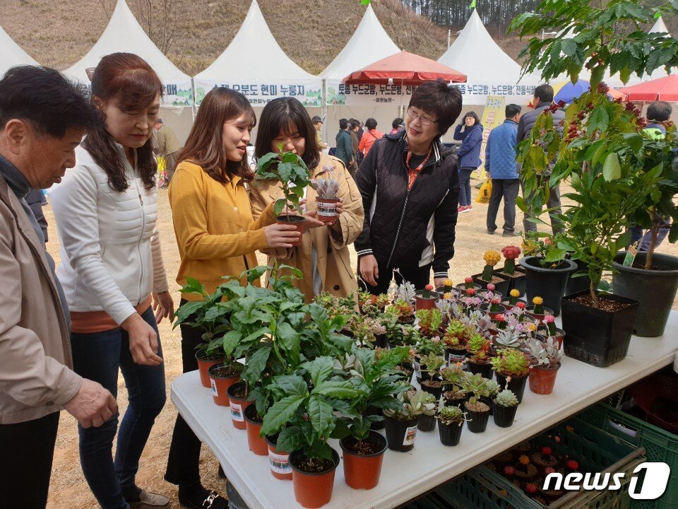 본문 이미지 - 28일 국내 최대 묘목 주산지인 충북 옥천군 이원면 옥천묘목공원에서 개막한 ‘제20회 옥천묘목축제’가 첫날부터 성황이다.(옥천군 제공).2019.03.28.ⓒ 뉴스1