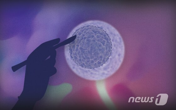 본문 이미지 - ⓒ News1 DB