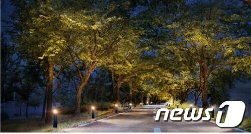 본문 이미지 - '별빛이 내리는 밤' 야가경관 조명사업  ⓒ 뉴스1
