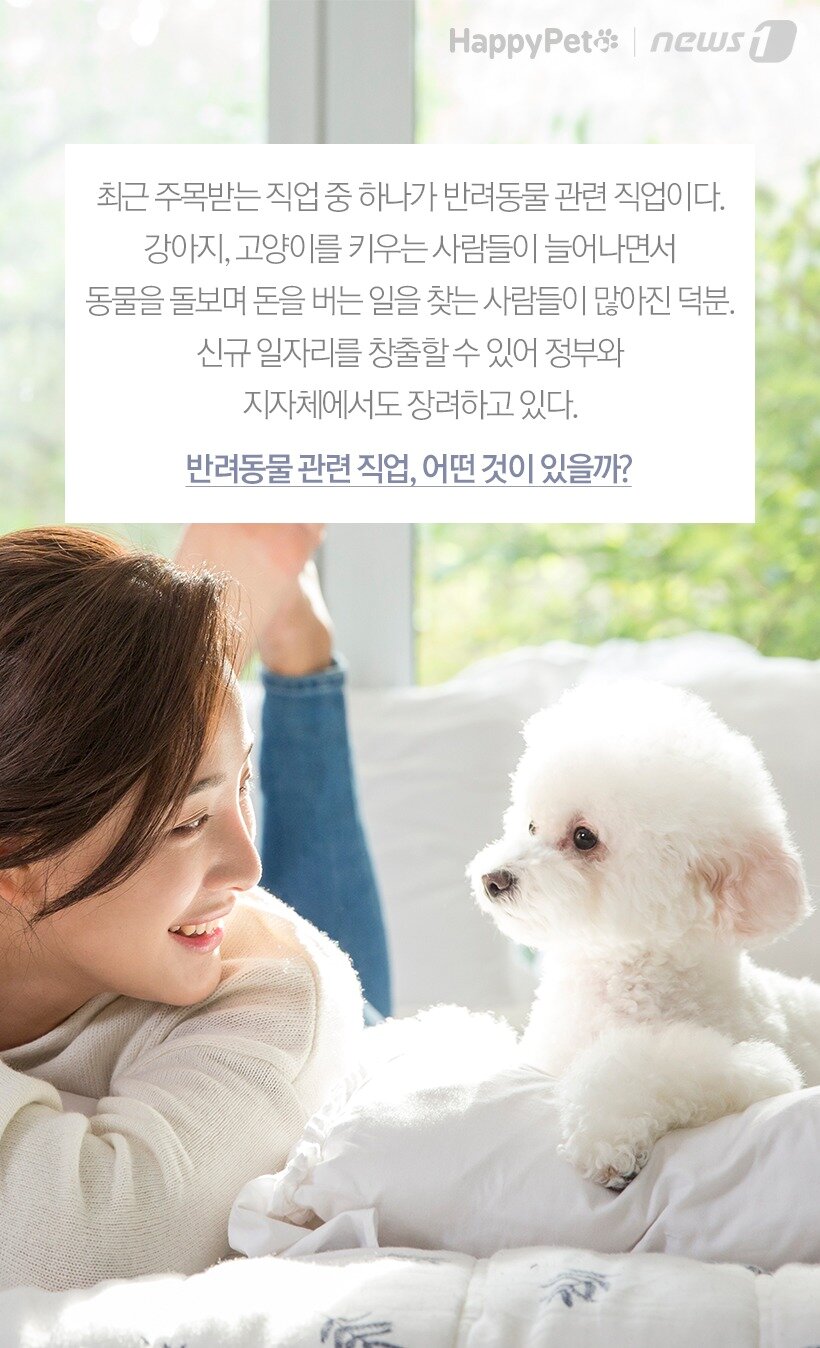 본문 이미지 -  반려동물 관련 직업