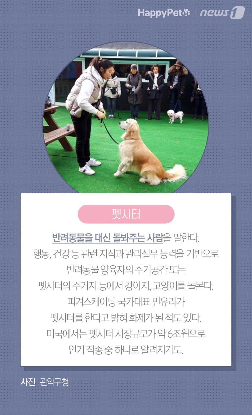 본문 이미지 -  펫시터  / 사진 관악구청