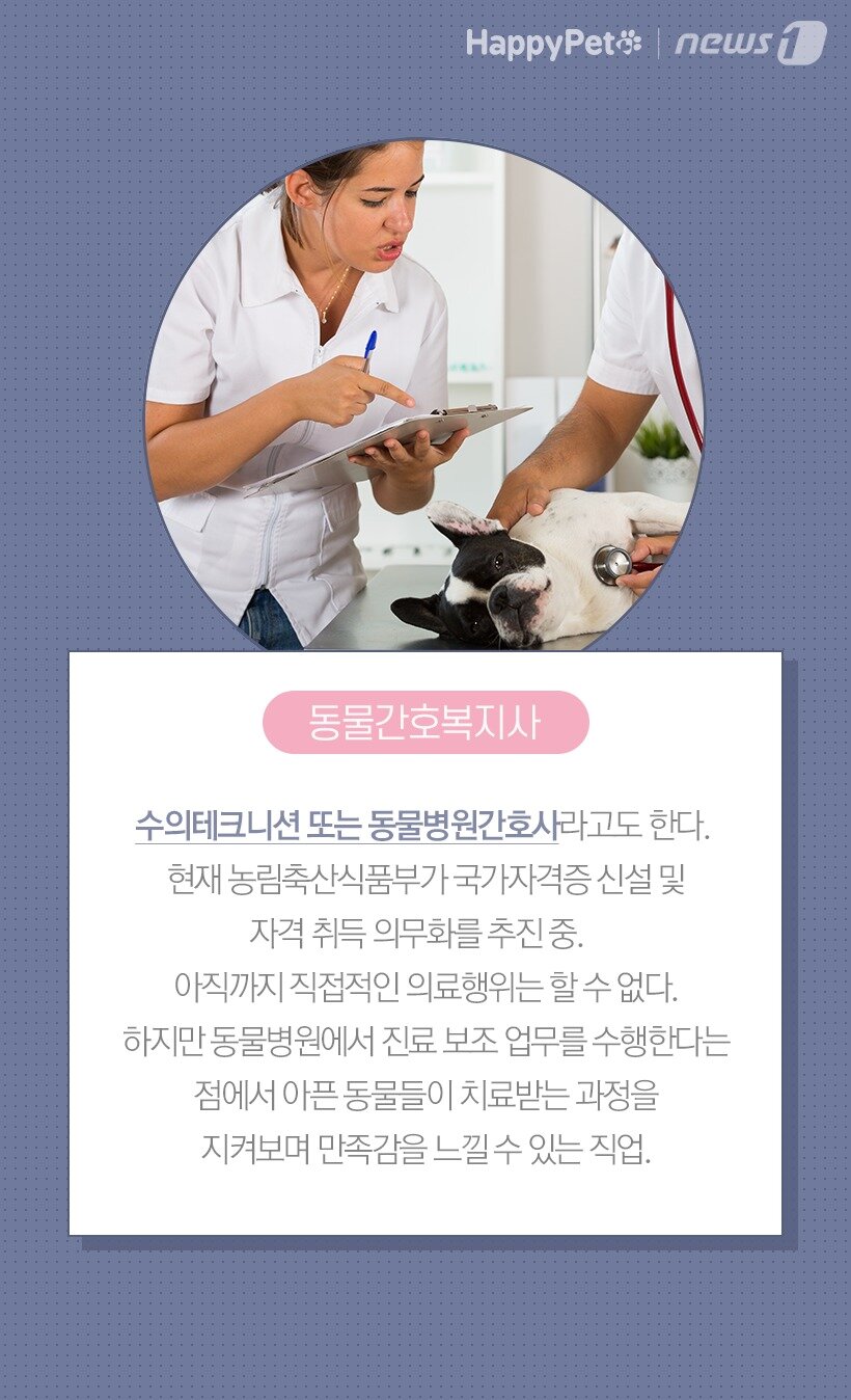 본문 이미지 -  동물간호복지사(수의테크니션, 동물병원간호사)