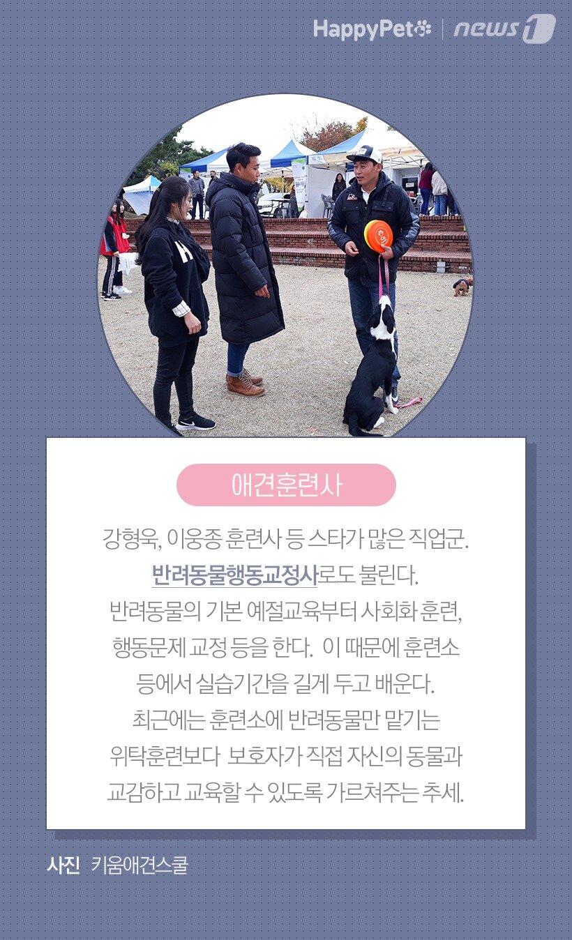 본문 이미지 -  애견훈련사(반려동물행동교정사) / 사진 키움애견스쿨
