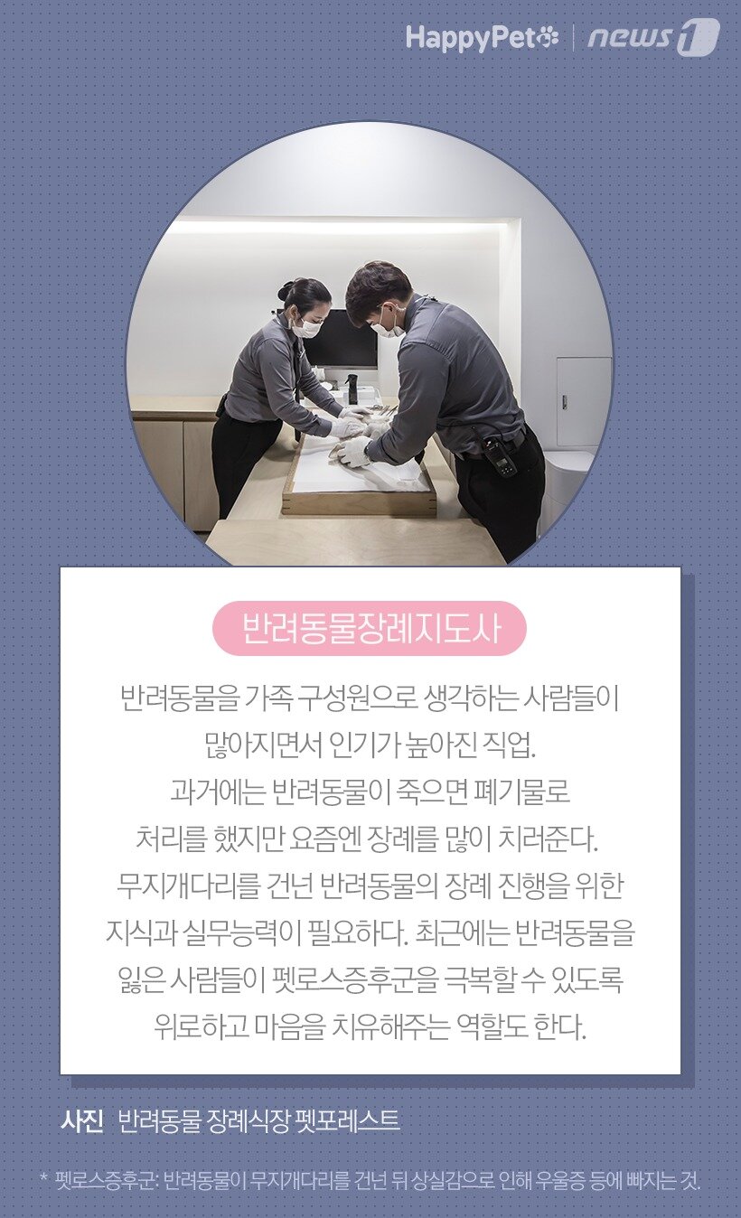 본문 이미지 -  반려동물장례지도사 / 사진 반려동물 장례식장 펫포레스트