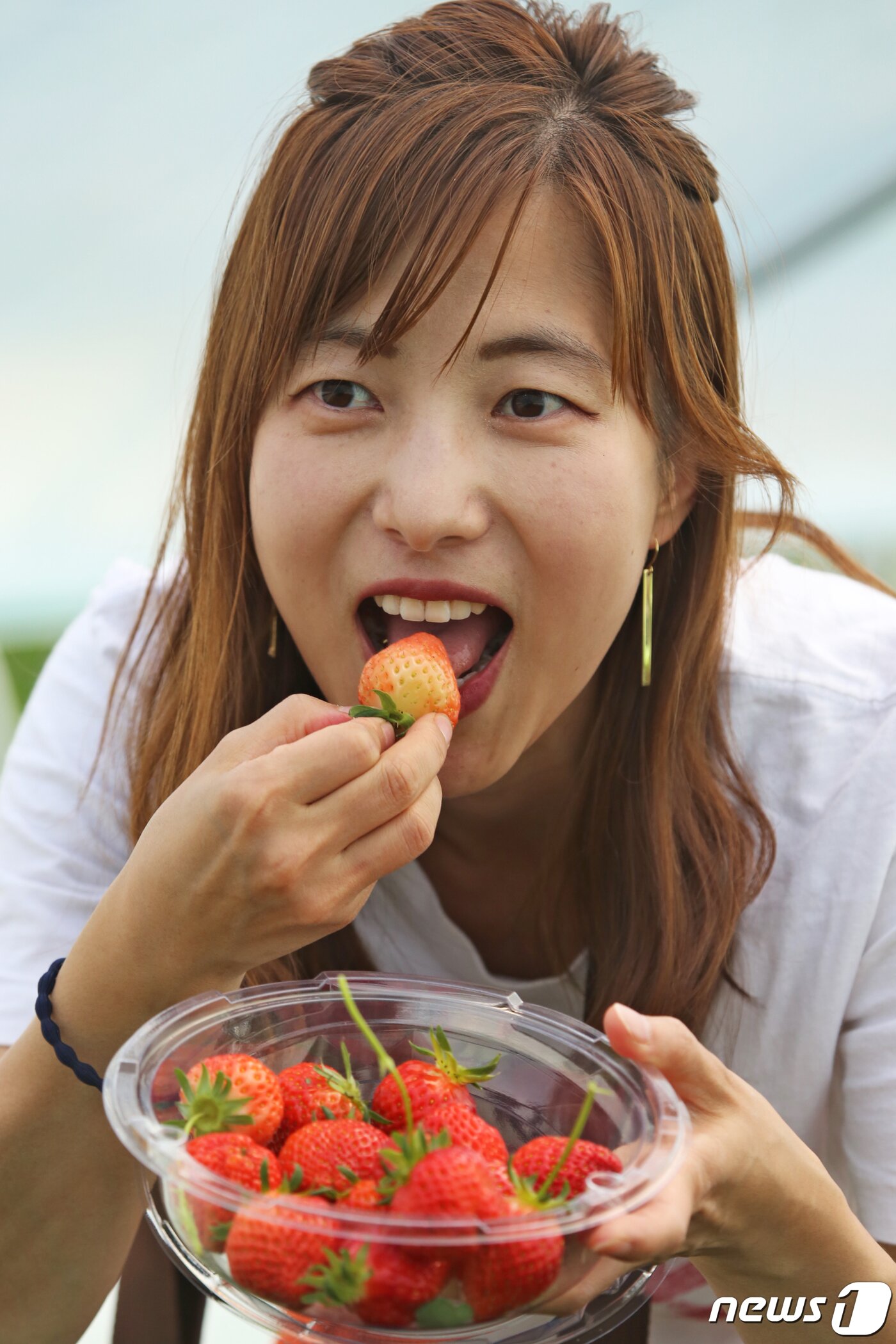 본문 이미지 - 경북 고령군에서 열리고 있는 대가야체험 축제 3일째인 13일 대가야읍 본관리 우리들엔 영농조합 딸기수확체험장에서 한 여성이 직접 딴 딸기를 먹어보고 있다. 대가야체험 축제는 오는 14일까지 열린다./뉴스1 ⓒ News1 정우용 기자