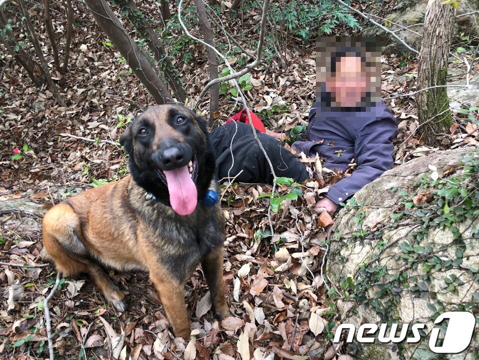 본문 이미지 -  한 야산에서 길을 잃고 추위에 떨고 있던 80대 실종자를 순천소방서 산악119구조대 인명구조견인 &#39;장고&#39;가 발견했다.&#40;순천소방서 제공&#41;2019.4.15/뉴스1 ⓒ News1 지정운 기자