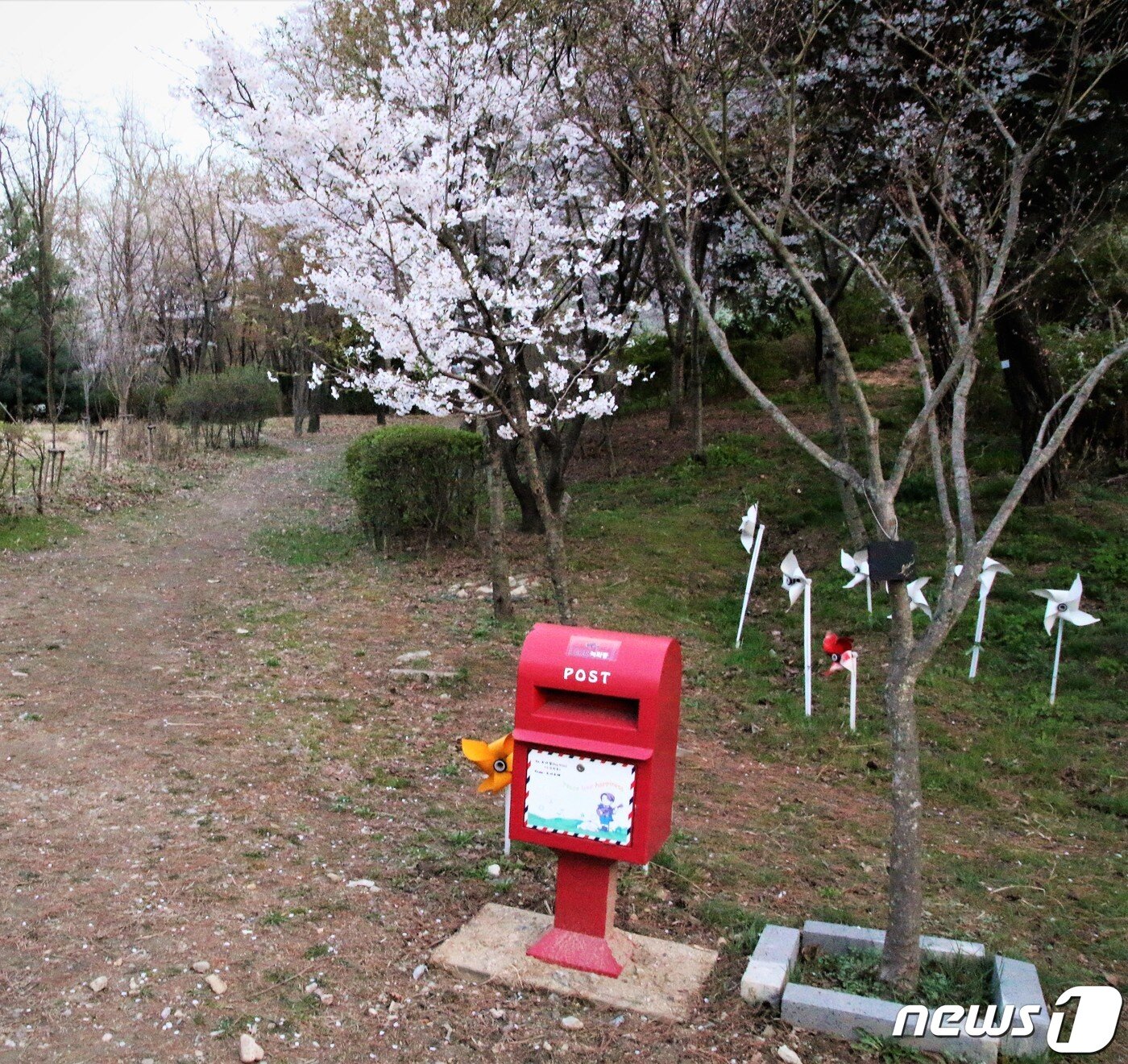 본문 이미지 - 지난 12일 로이킴숲의 모습 ⓒ News1 황덕현 기자