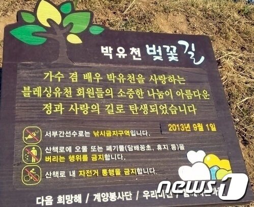 본문 이미지 - 인천시 계양구 서부천에 위치한 박유천 벚꽃길2019.4.20/뉴스1 ⓒ News1 박아론 기자