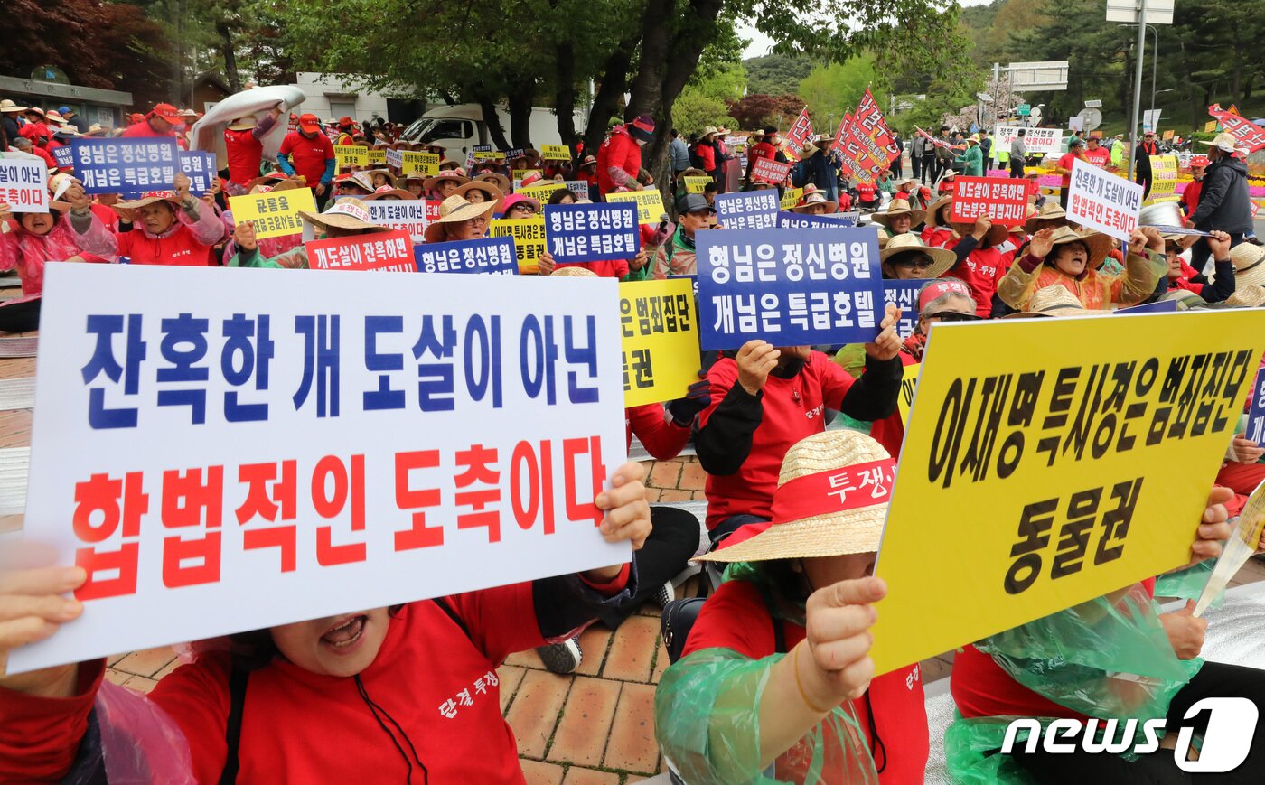본문 이미지 - 25일 오전 경기도 수원시 팔달구 경기도청 앞에서 대한육견협회 회원들이 개 도살 수사 중지 및 식용견 합법화를 요구하며 구호를 외치고 있다. 2019.4.25/뉴스1 ⓒ News1 조태형 기자